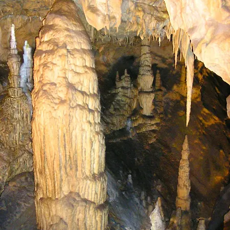Veverica