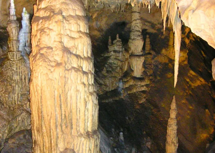 Veverica